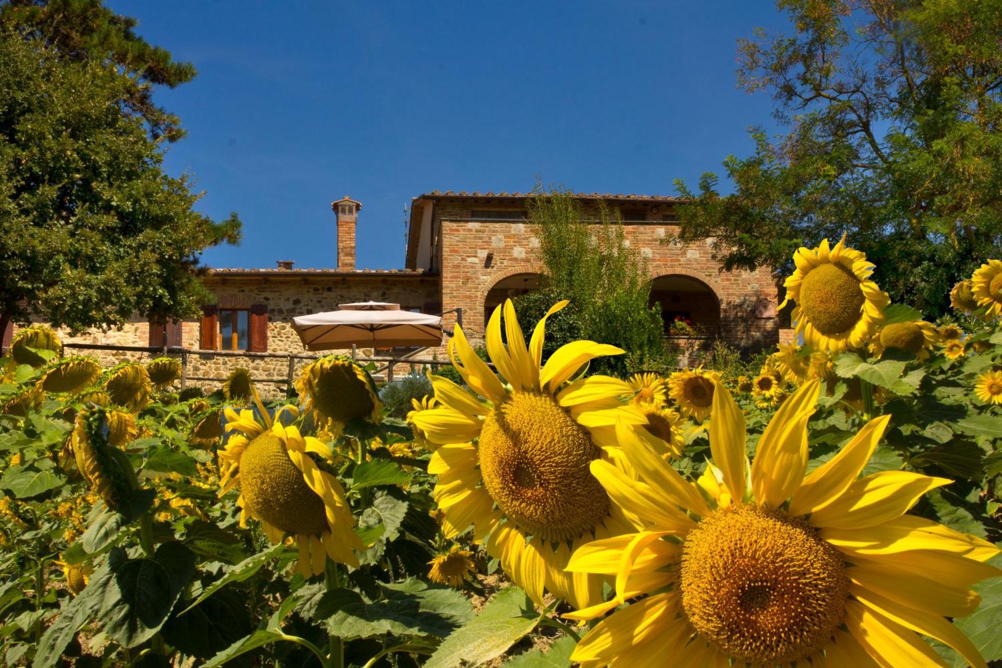 Poggio Cantarello Vacanze Farm stay