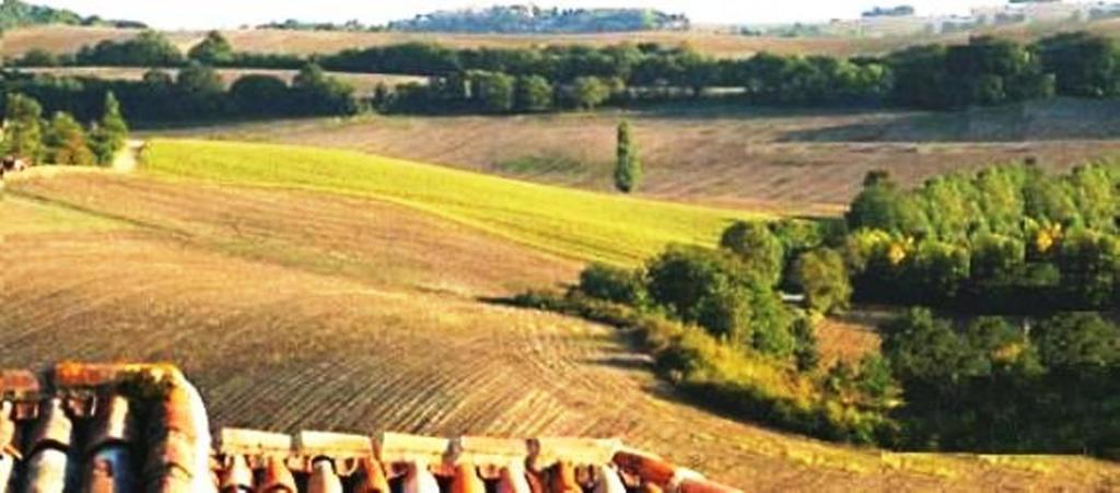 Farm stay Poggio Cantarello Vacanze *