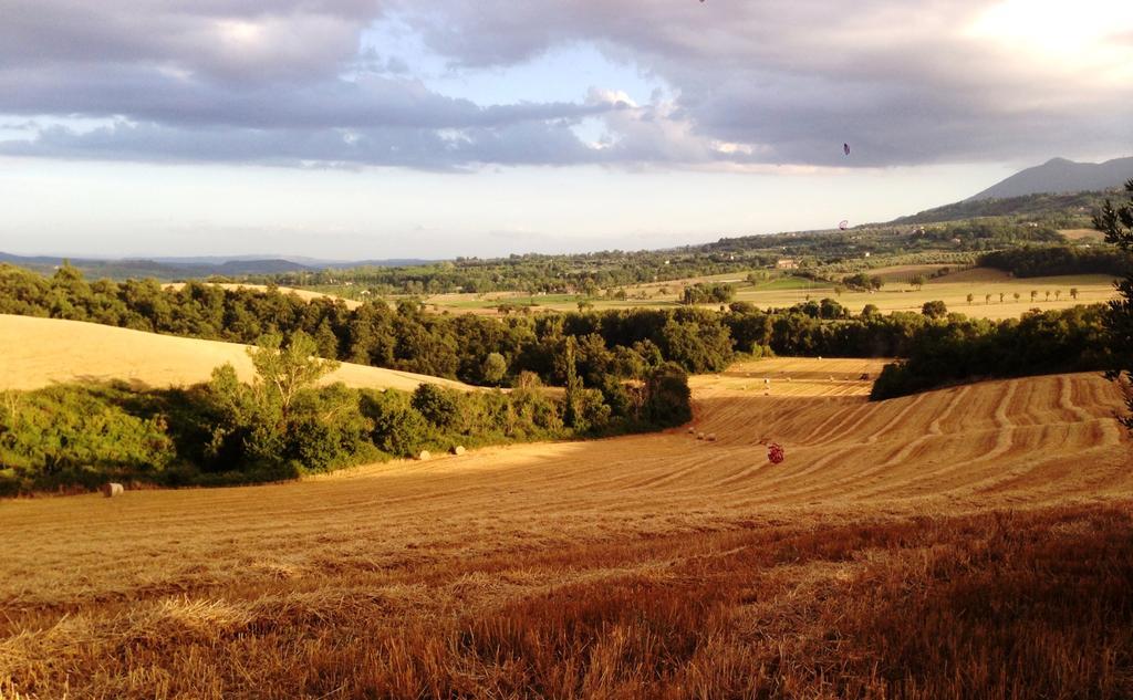 Poggio Cantarello Vacanze Farm stay Chiusi